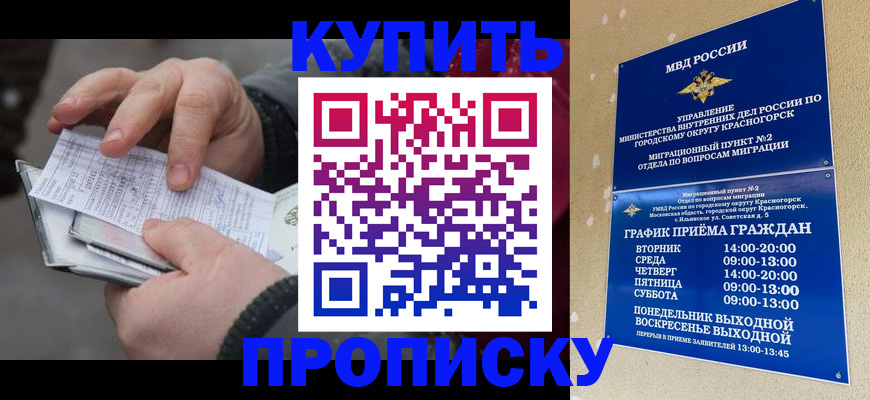 временная регистрация недорого в Видном